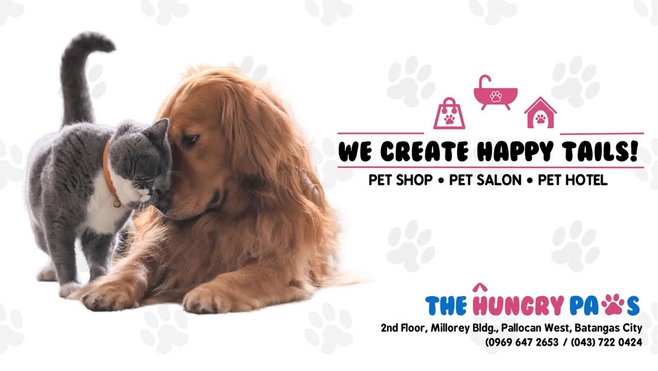 A cat nuzzling a golden retriever, from The Hungry Paws Batangas City’s Facebook cover